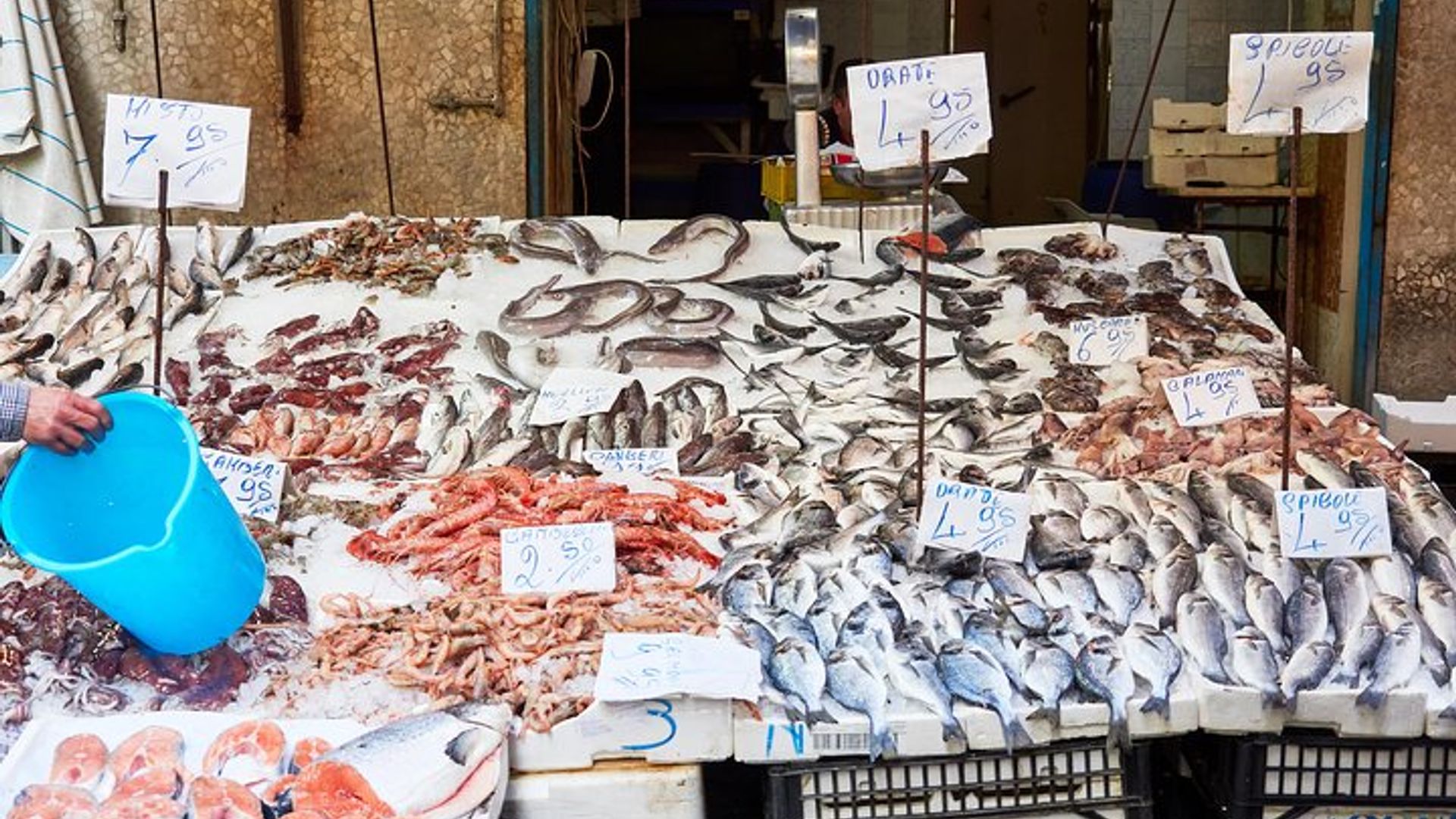 Viareggio Small-Group Market Tour and Cooking Class