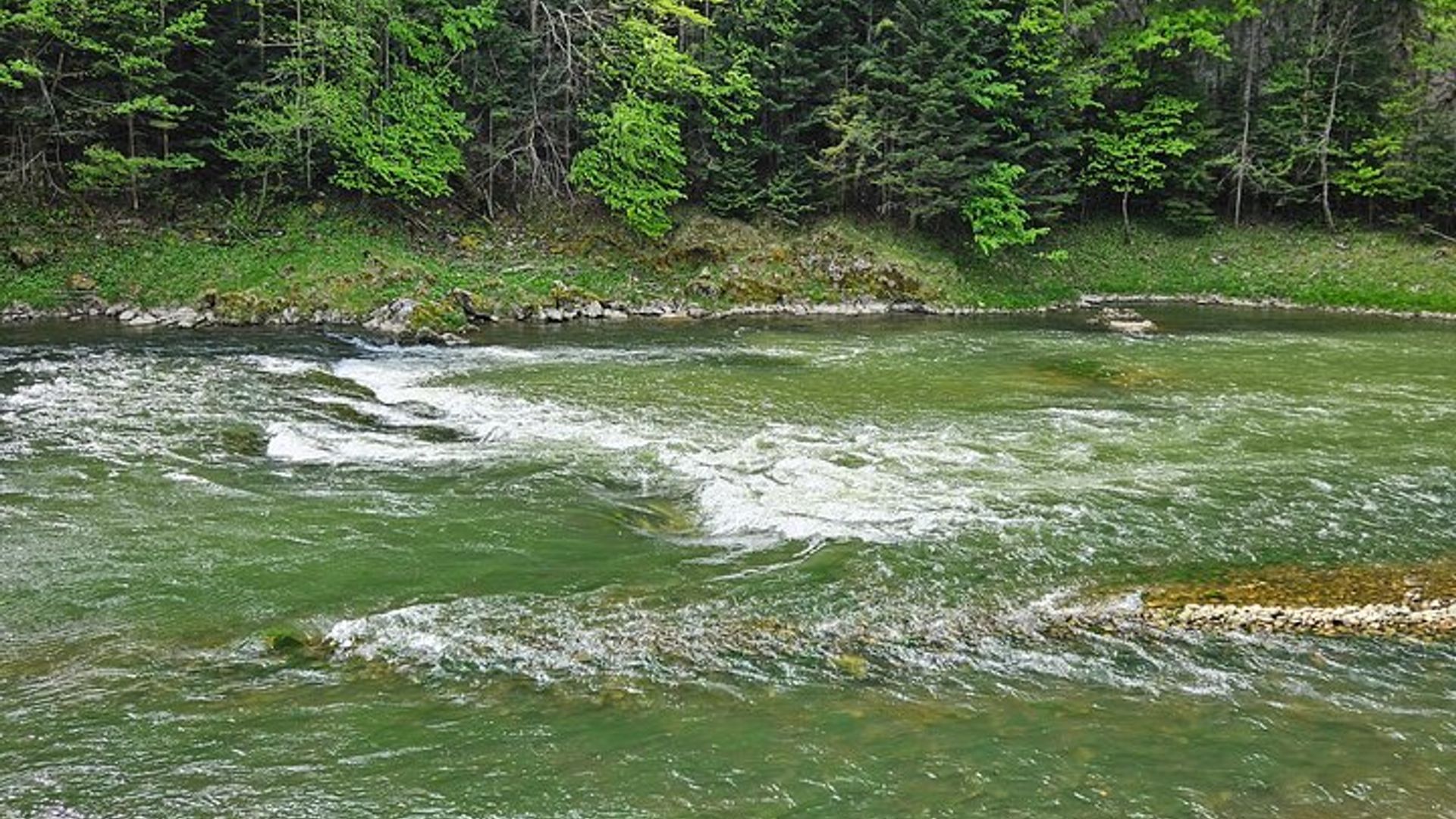 Excursion privée d'une journée complète en rafting sur la rivière Dunajec au départ de Cracovie
