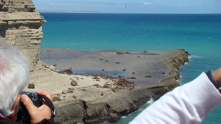 Peninsula Valdes Exclusive Nature and Wildlife Tour with Lunch