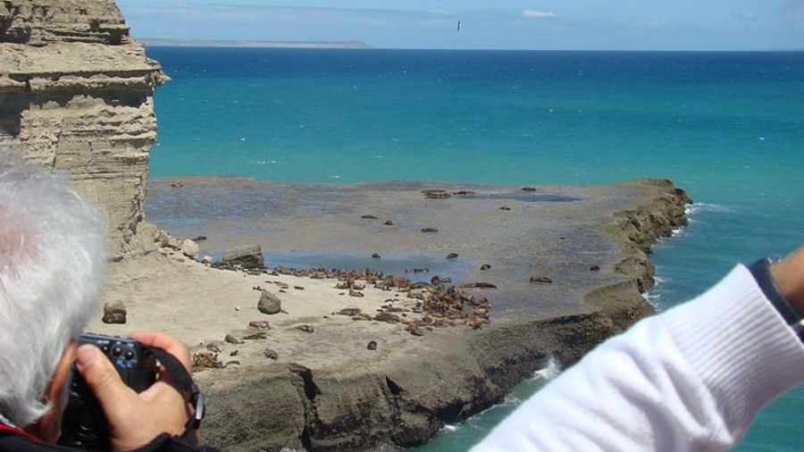 Peninsula Valdes Exclusive Nature and Wildlife Tour with Lunch