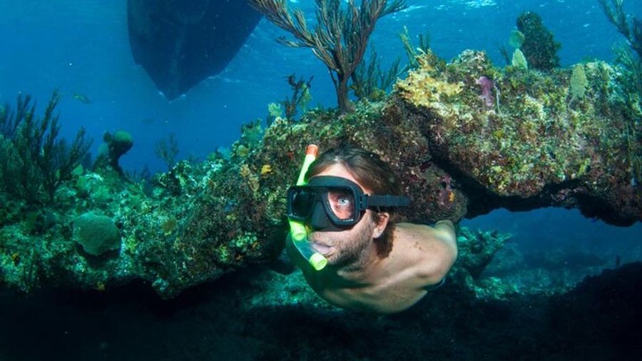 Providenciales: Emerald Reef and Shipwreck Snorkeling Tour