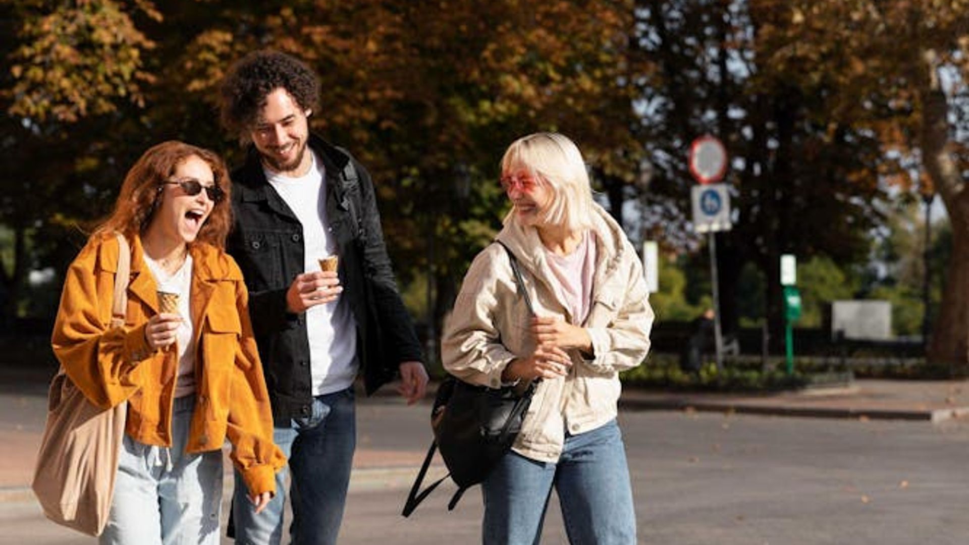 Mulhouse 2-hour introductory walking tour with a local