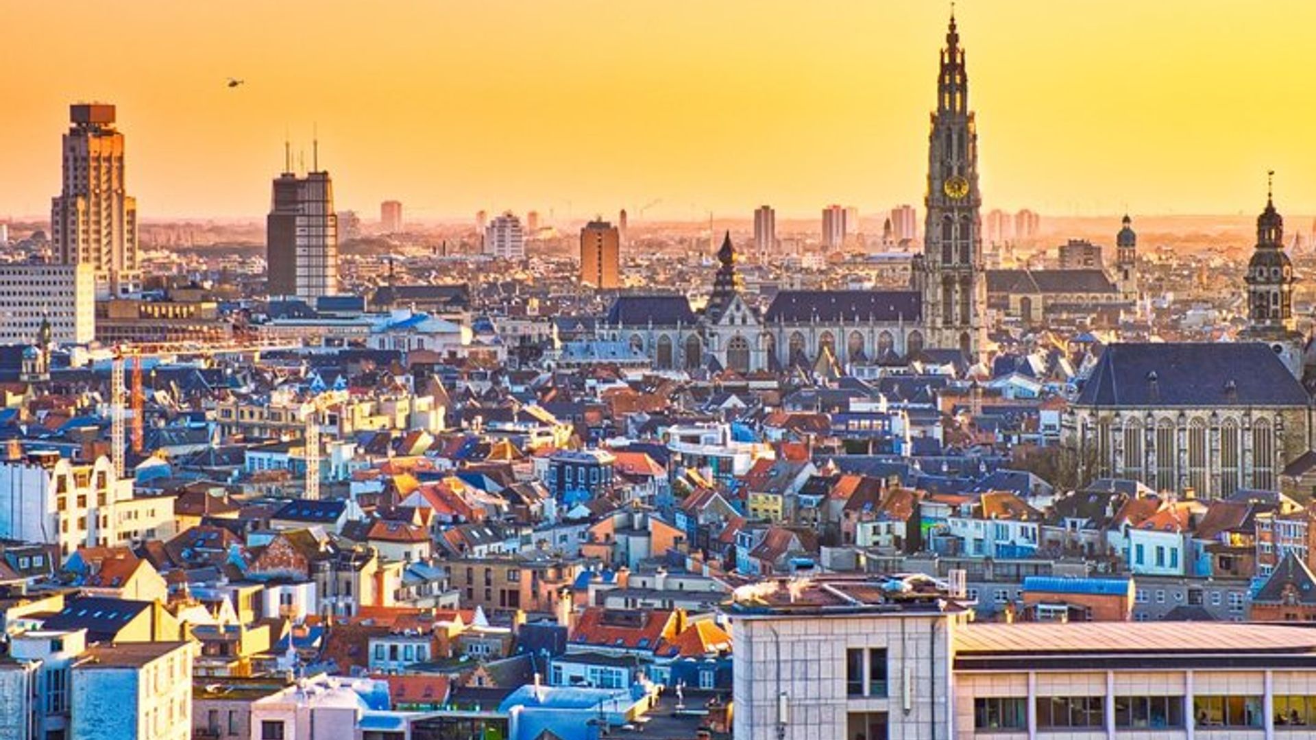 Excursion to Antwerp and Ghent by bus from Brussels with stop at the Atomium