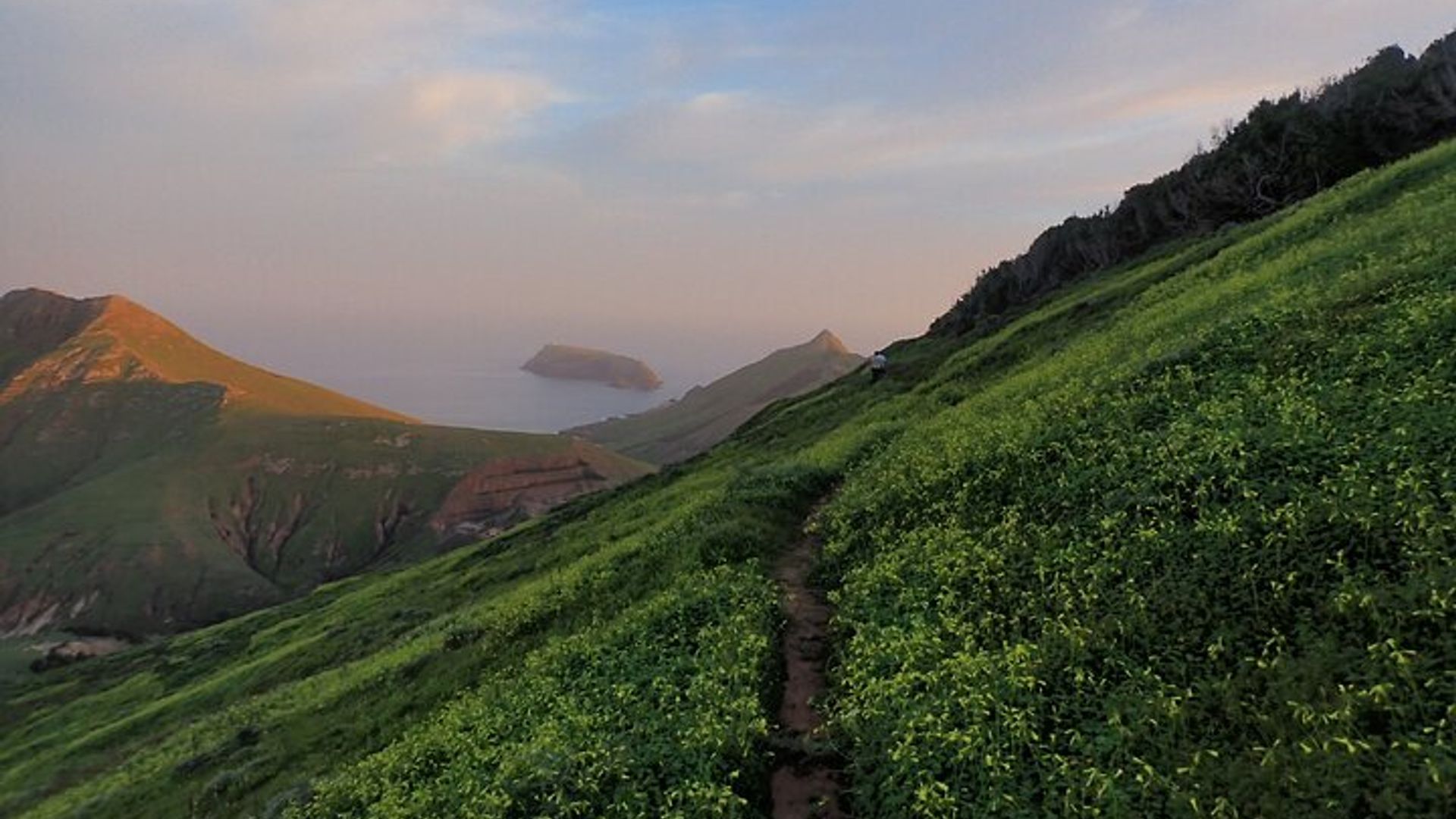Sentier panoramique du Pico do Facho