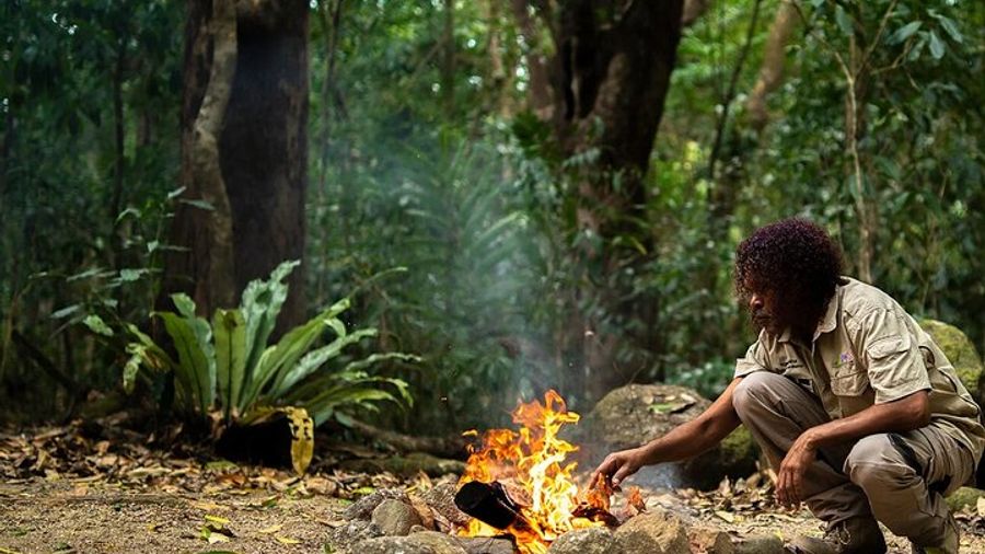 Mossman Gorge and Daintree Small-Group Tour From Port Douglas