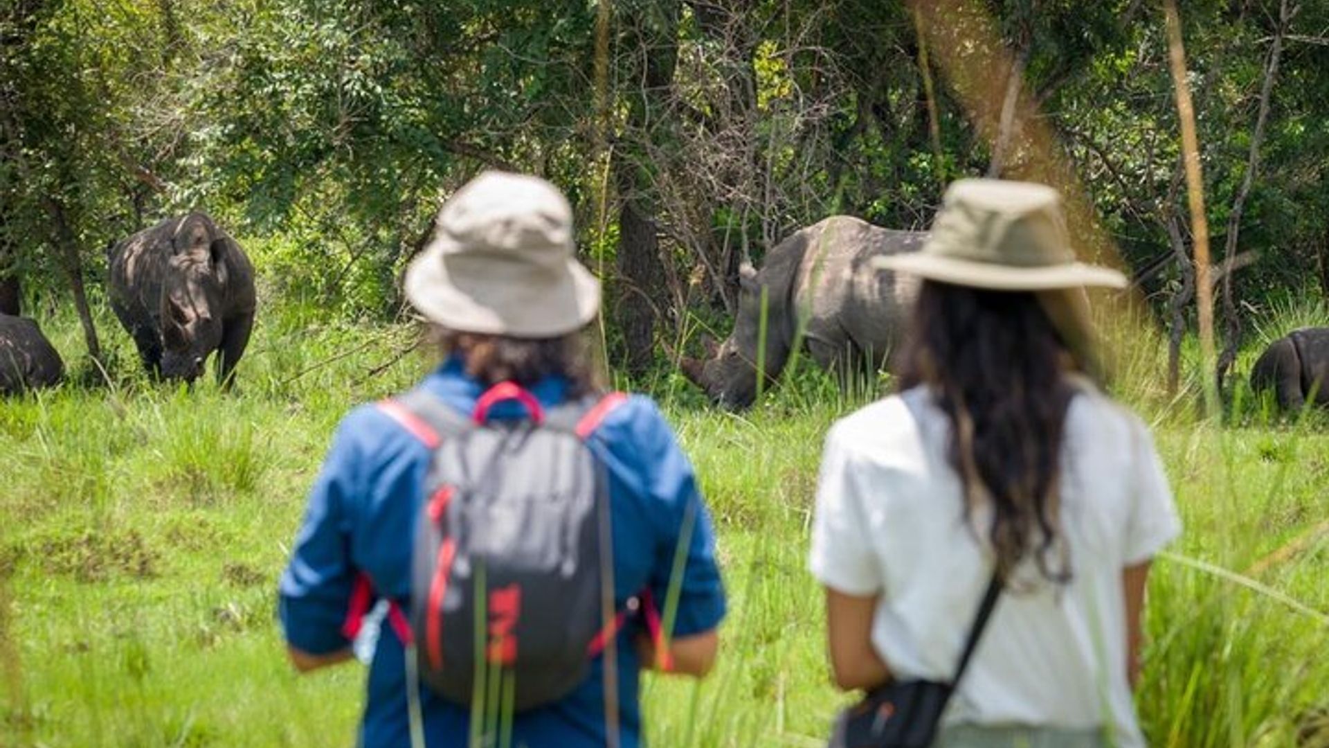 Bwindi Impenetrable 3-Day Private Gorilla Tour with Transport