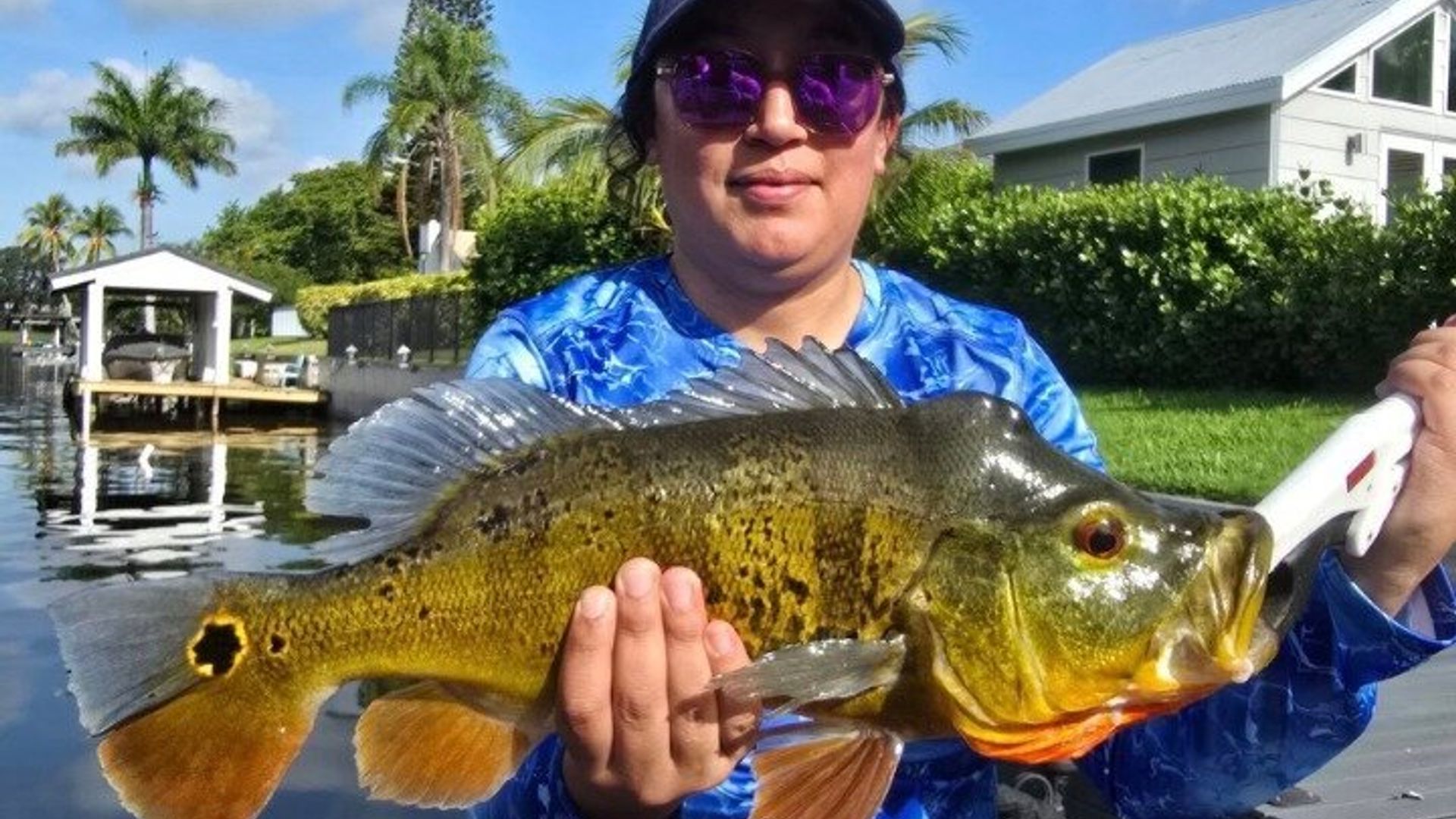 Private Pfauenbarsch Angelcharter in der Nähe von Palm Beach Florida