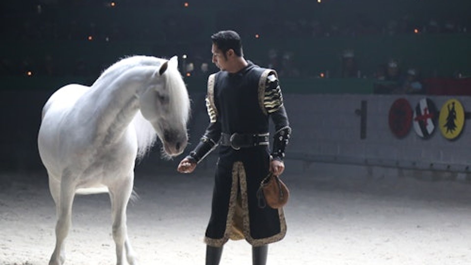 Orlando: Medieval Times Dinner & Tournament Experience