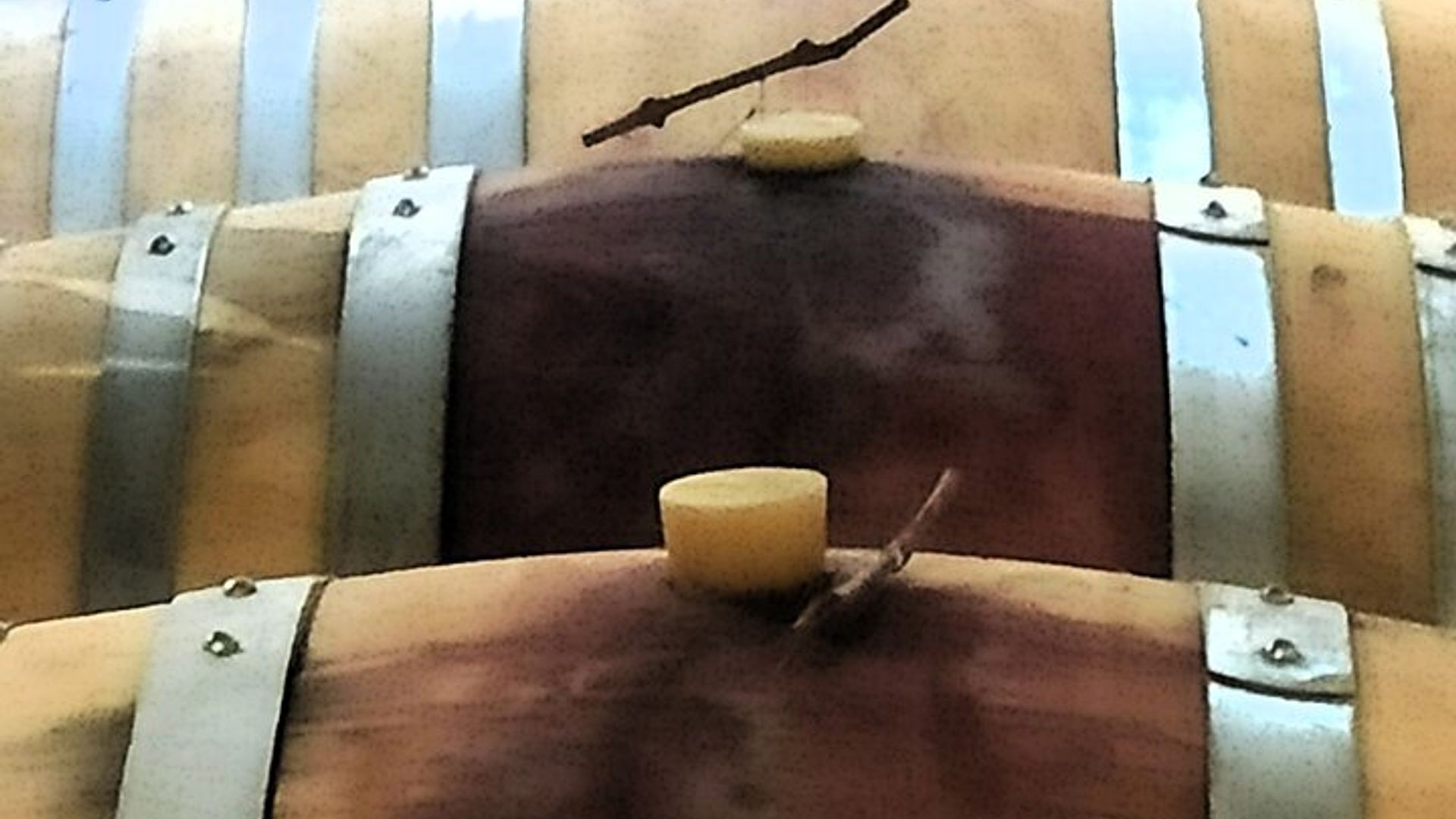 Gaillac Escapade Viticole en Petit Groupe Départ Toulouse