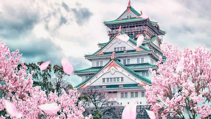 Osaka and Nara Day Tour with Private Transportation