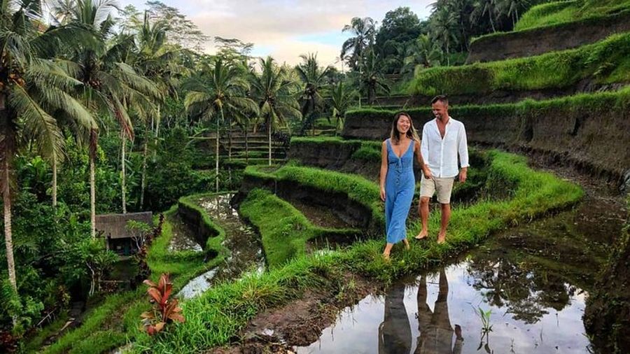 Ubud Private Tour: Monkeys, Waterfalls, Rice Fields, and More