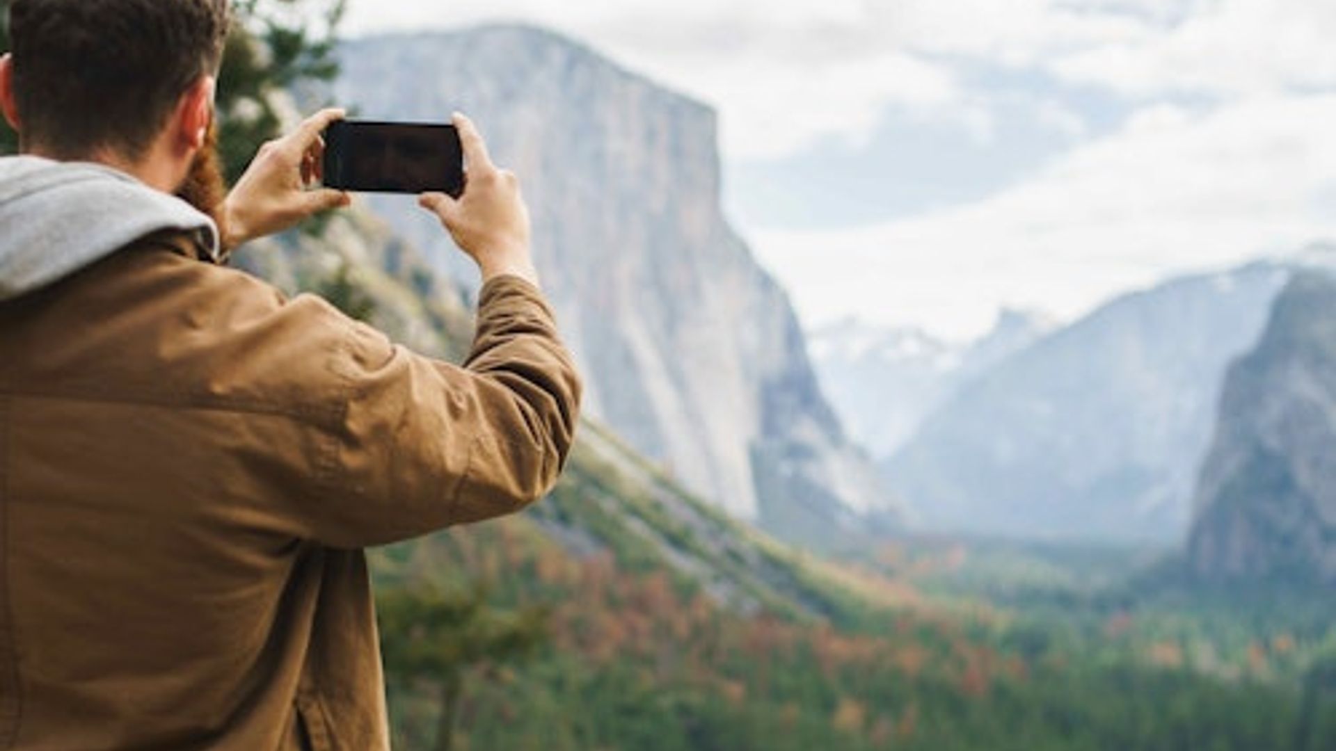 From San Francisco: Full Day Yosemite and Giant Sequoia Tour image 3