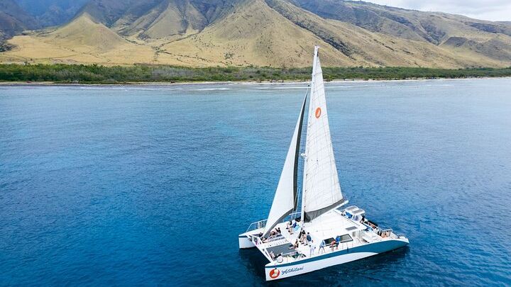 Maui Coral Gardens Snorkeling and Whale Watching Cruise