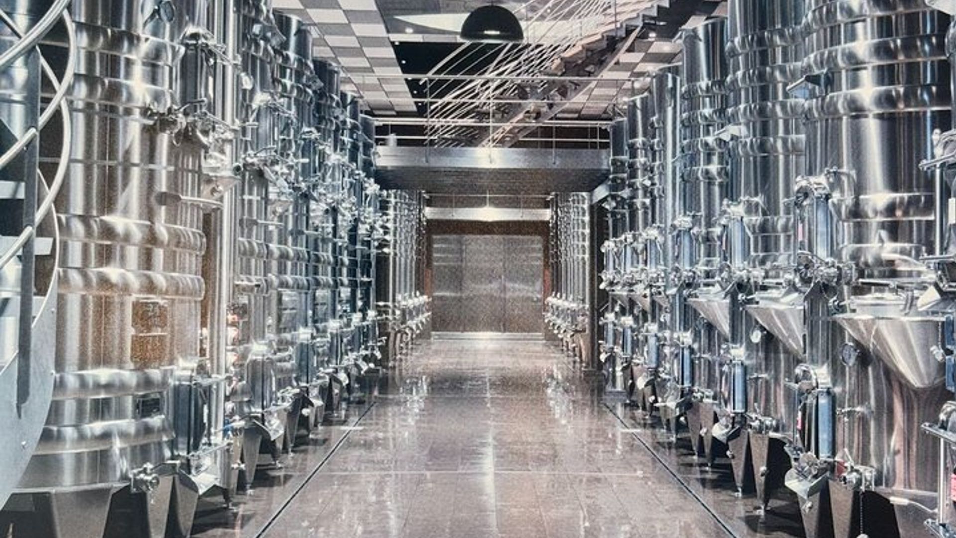 Visite ultime de dégustation de vins de Provence : meilleurs crus et châteaux