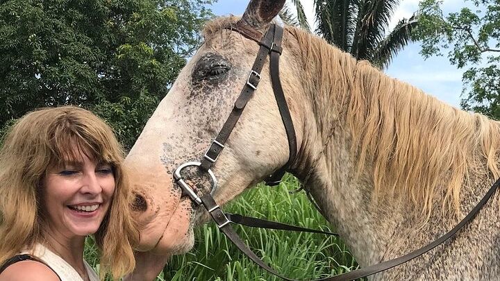 7:30am Jungle Farm trail Ride plus Xunantunich adventure