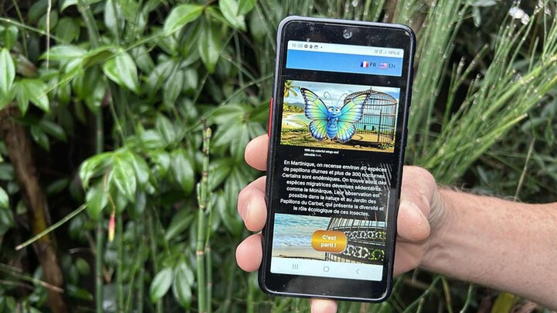 Erleben Sie Pointe-à-Pitre bei einer unterhaltsamen und vergnüglichen Schatzsuche!