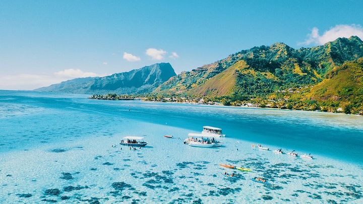 Half Day Snorkeling in Moorea