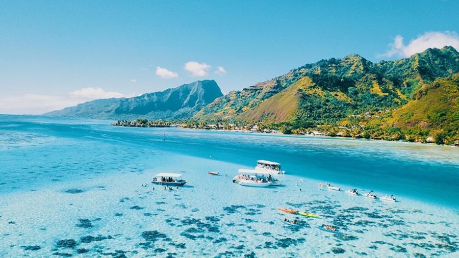 Half Day Snorkeling in Moorea