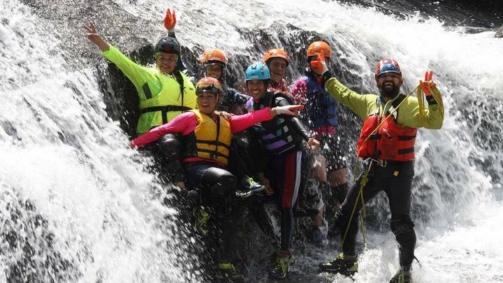 El Yunque Rainforest Half-Day Small-Group Adventure Tour