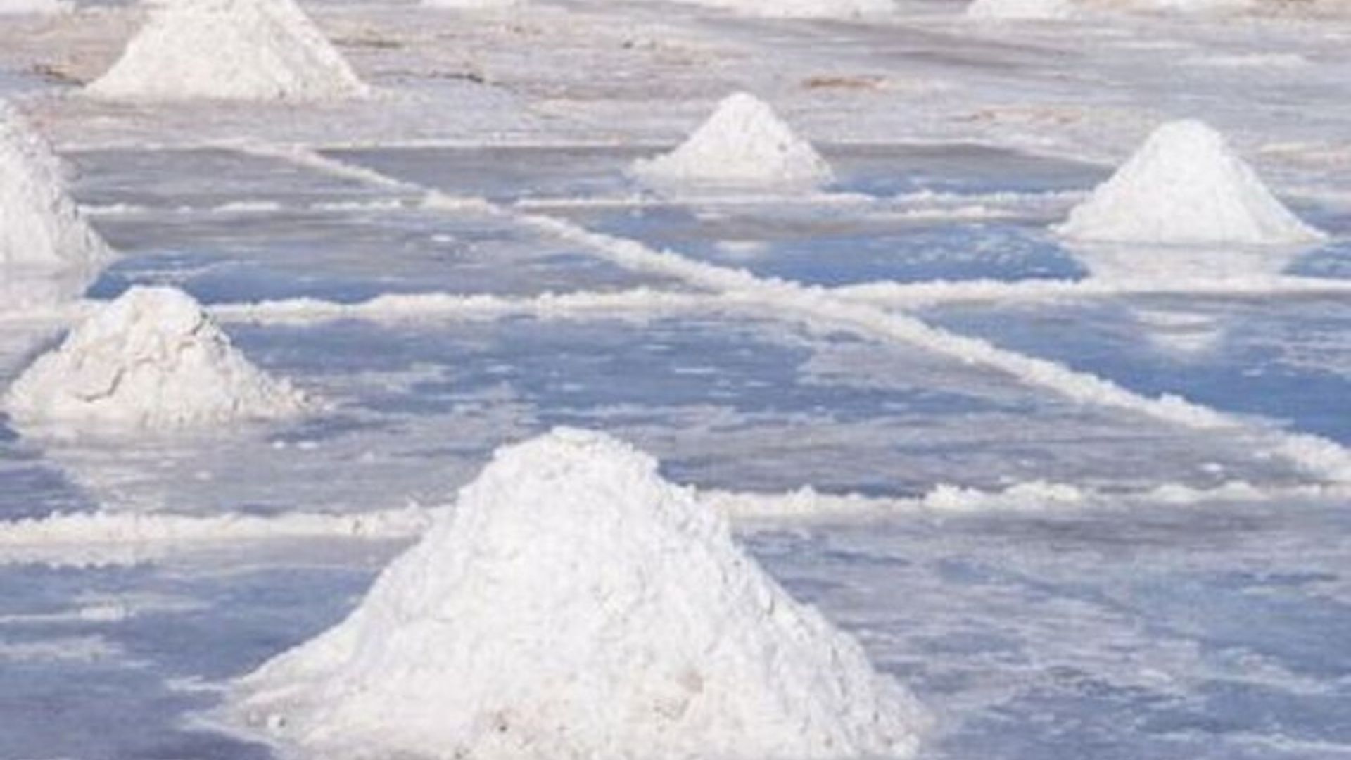 Excursion d'une journée - Mine de sel, Blue Eye, Shark Watch et Kite Beach