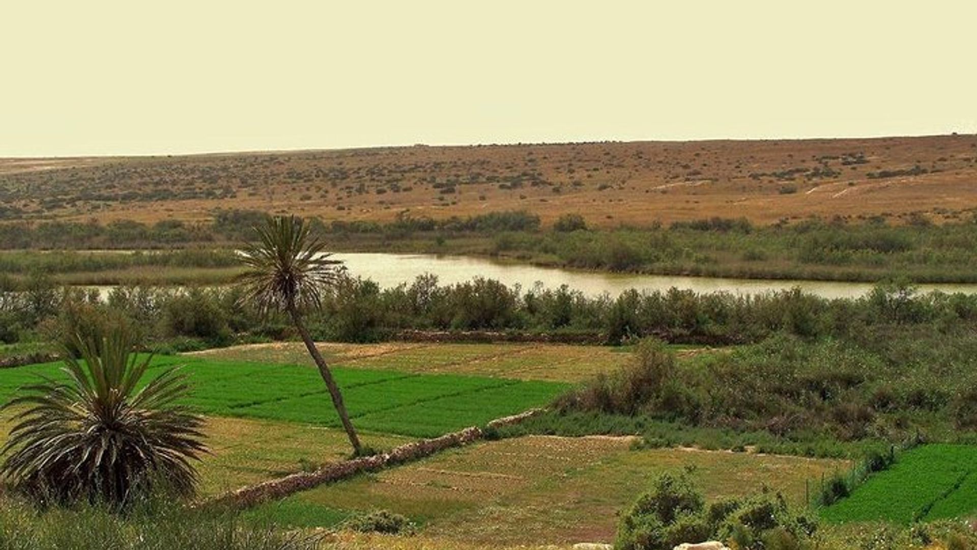 Parque nacional de Souss Massa desde Agadir