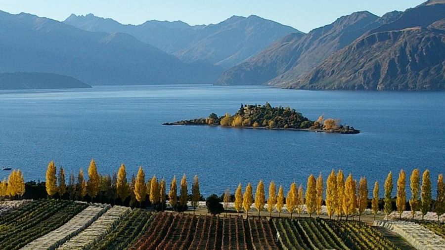 Central Otago Half-Day Small-Group Wineries Tour With Tastings