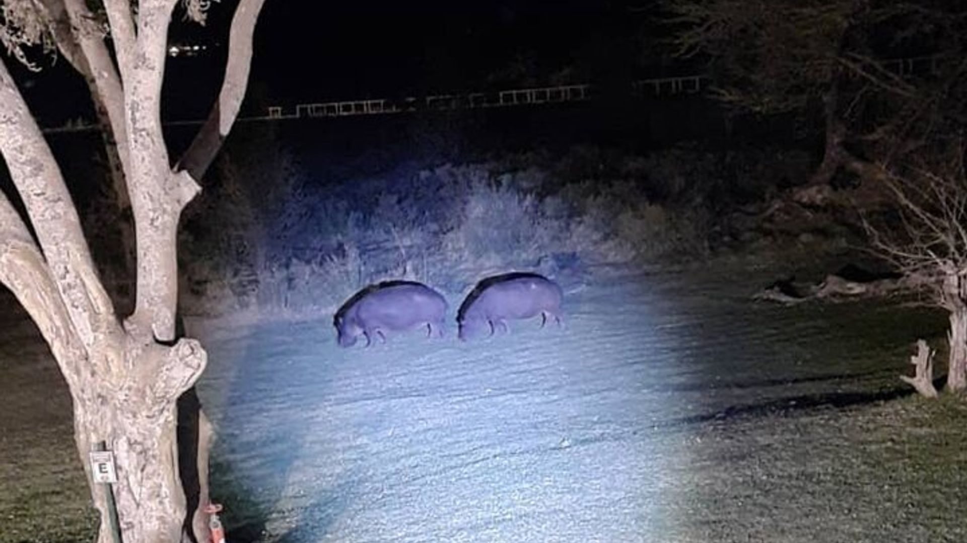 Private 4x4 Stargazing Uburambe bw'ukwezi muri Bush * D-F-ES