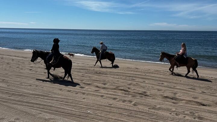 Mazatlan Half-Day Zipline Trip with Lunch and Mezcal Tasting