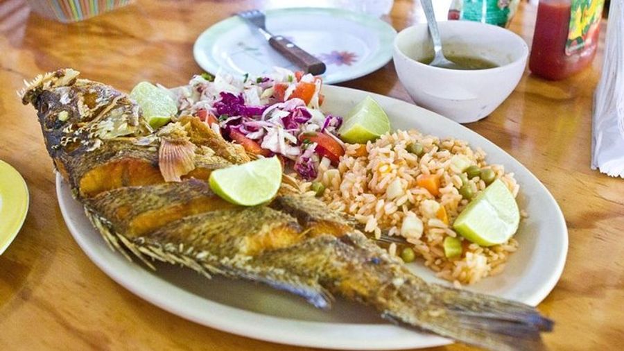 Cozumel Small-Group Food Tour