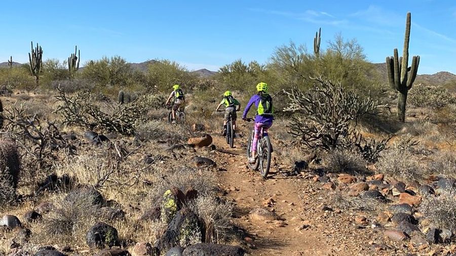 Sonoran Desert Private Mountain Bike Tour