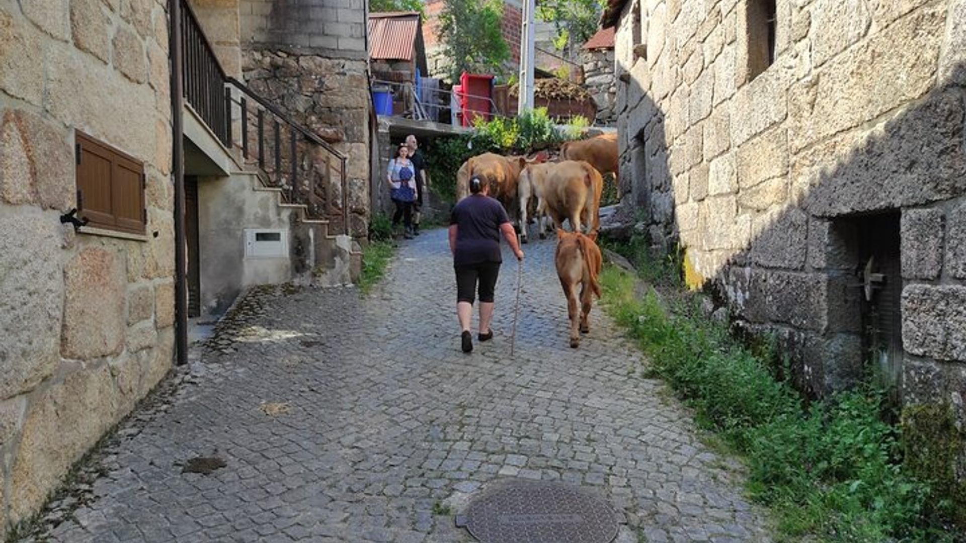 Nature, lagons, vieux villages de Gerês - Visite privée de Porto