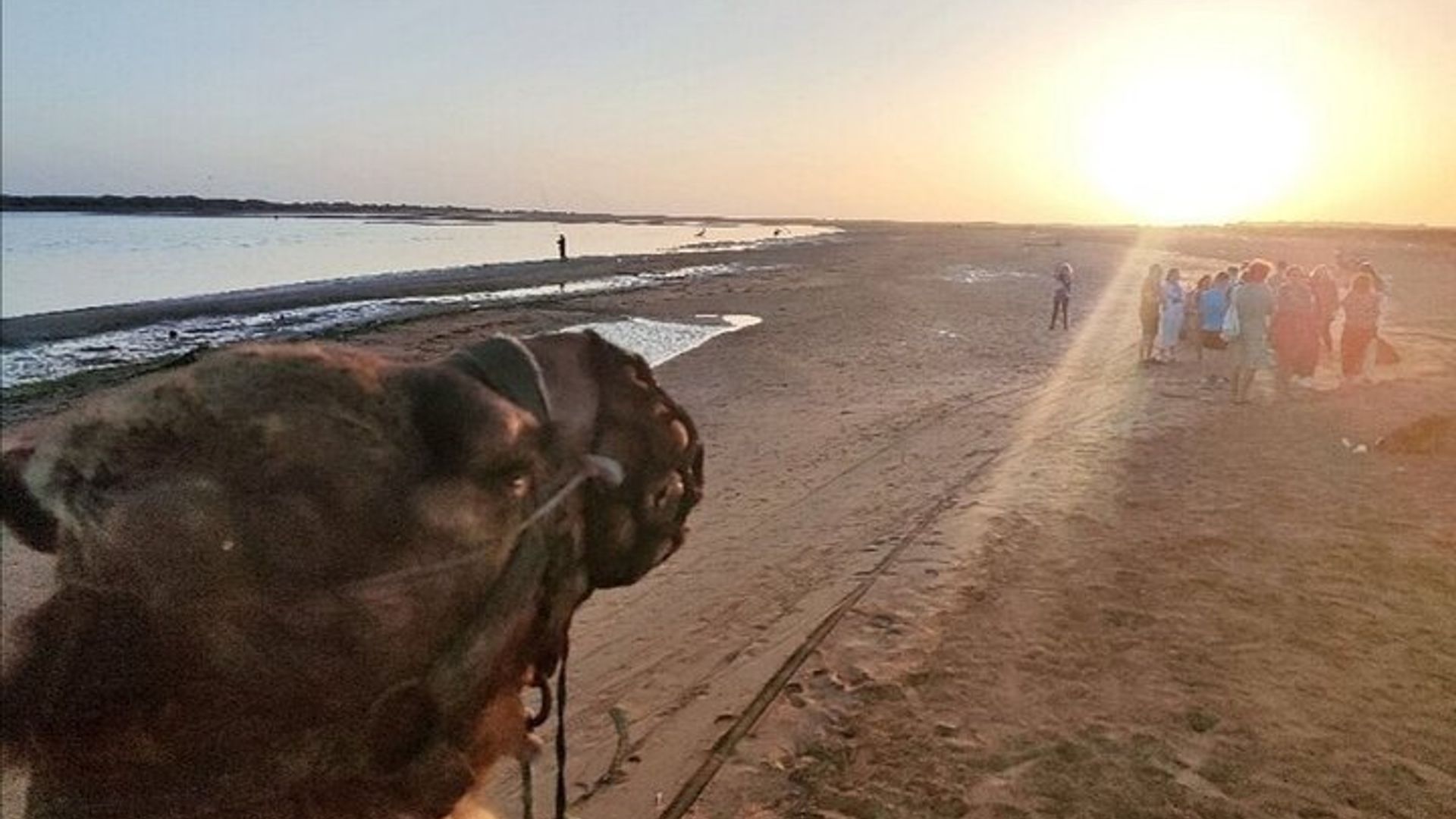 Agadir Kamelritt bei Sonnenuntergang mit Abendessen