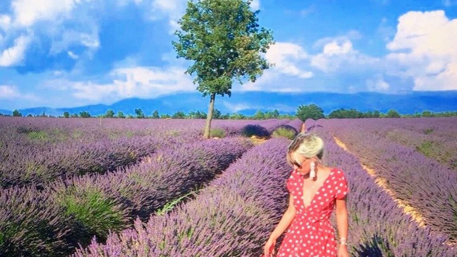 Cañón de campos de verdon y lavanda