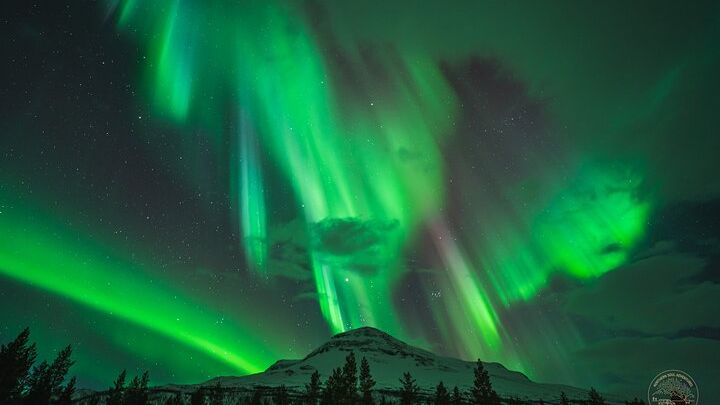 Tromso Minibus Northern Lights Photography Tour with Snacks