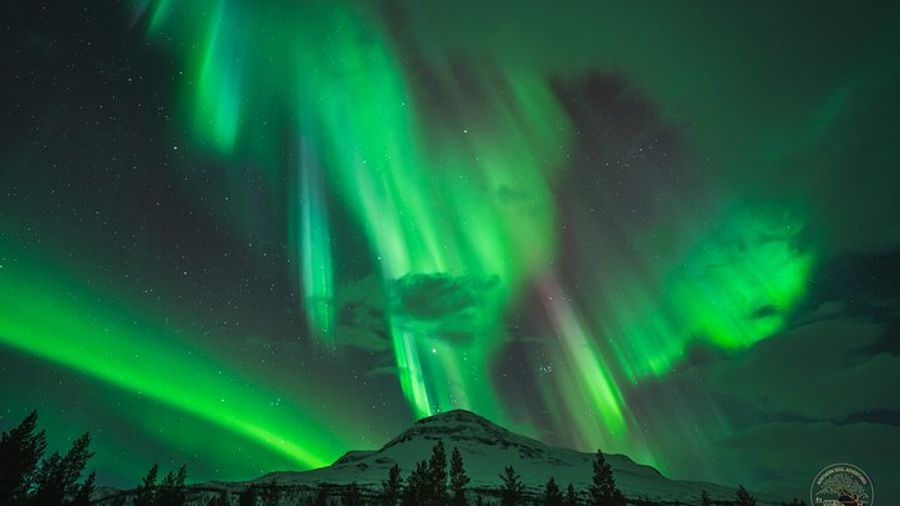 Tromso Minibus Northern Lights Photography Tour with Snacks