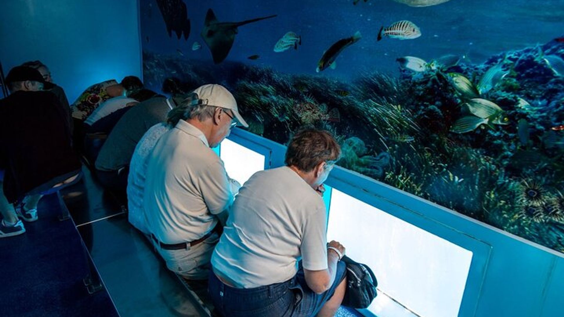 Mahon Harbour Boat Tour mit Mahon Market und Gin Distillery