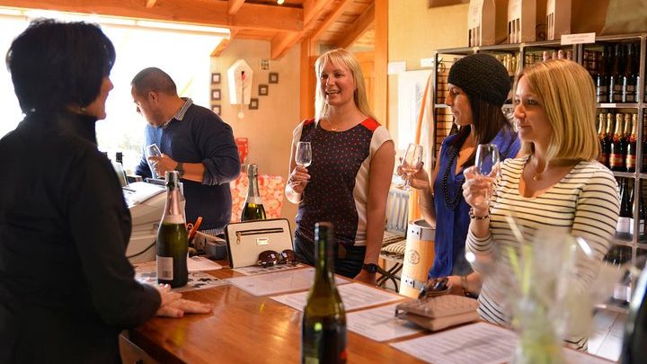 Marlborough Wine-Tasting Tour from Picton