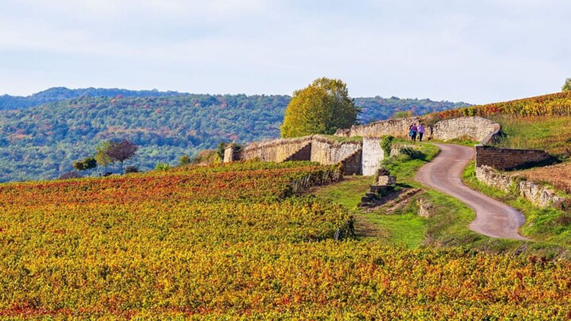 Private Führung durch Beaune: Entdecken Sie das Herz von Burgund