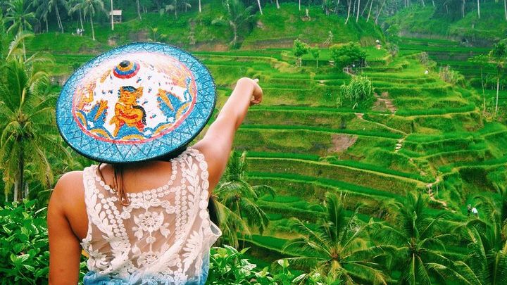 Ubud Highlights Private and Customizable Tour