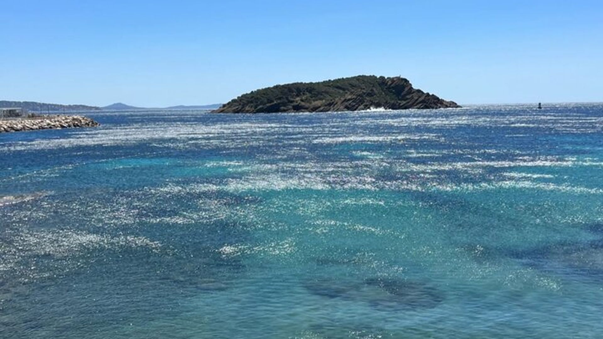 Visite Authentique à la Découverte de La Ciotat