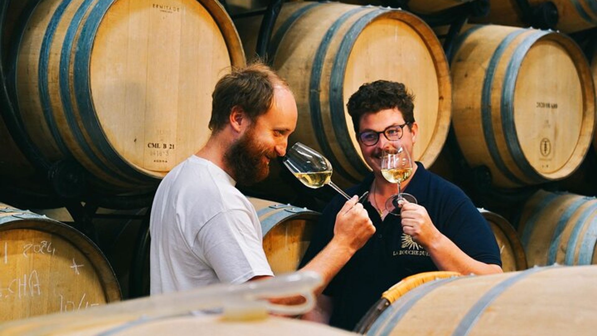 Visite de vignoble et dégustation de vins à Davron