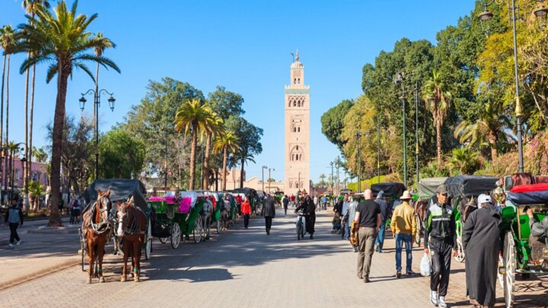 Marrakech Discovery Tour Bahia Palace and Saadian Tombs