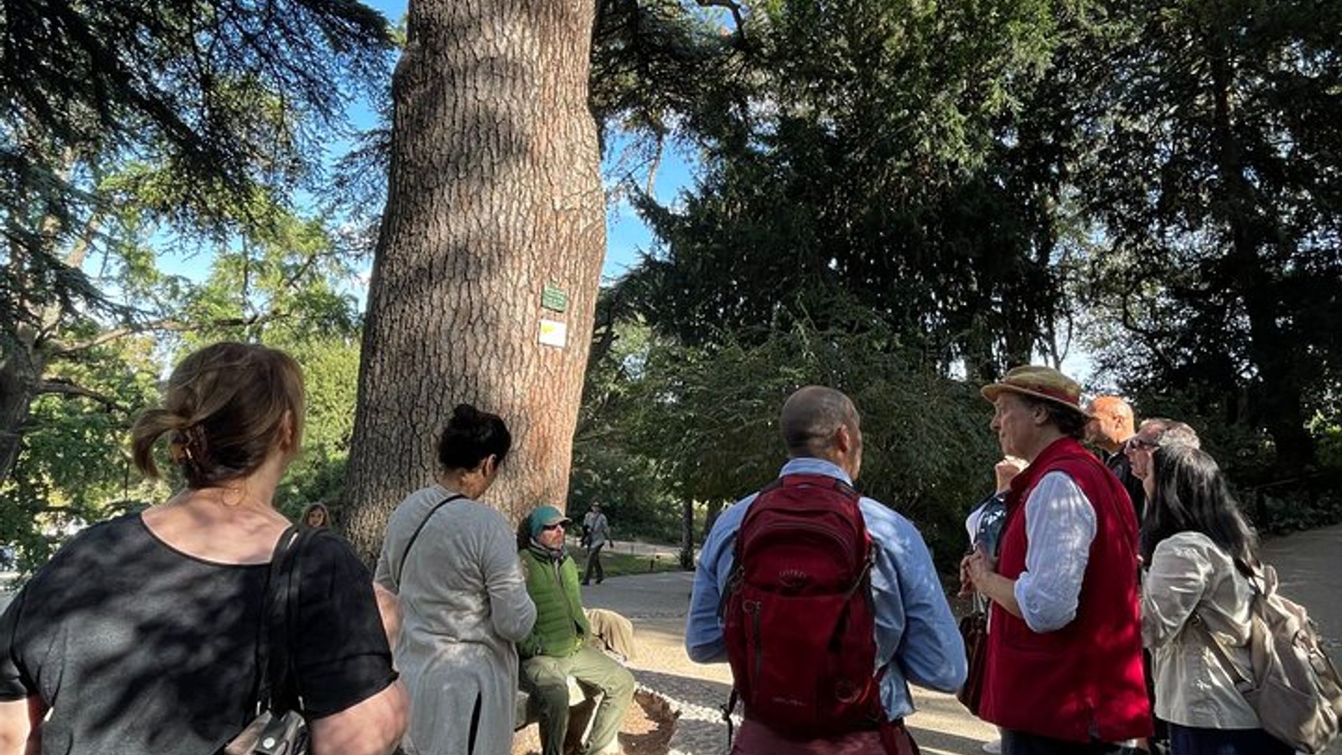 Paris Latin Quarter Wine Tasting and Walking Tour