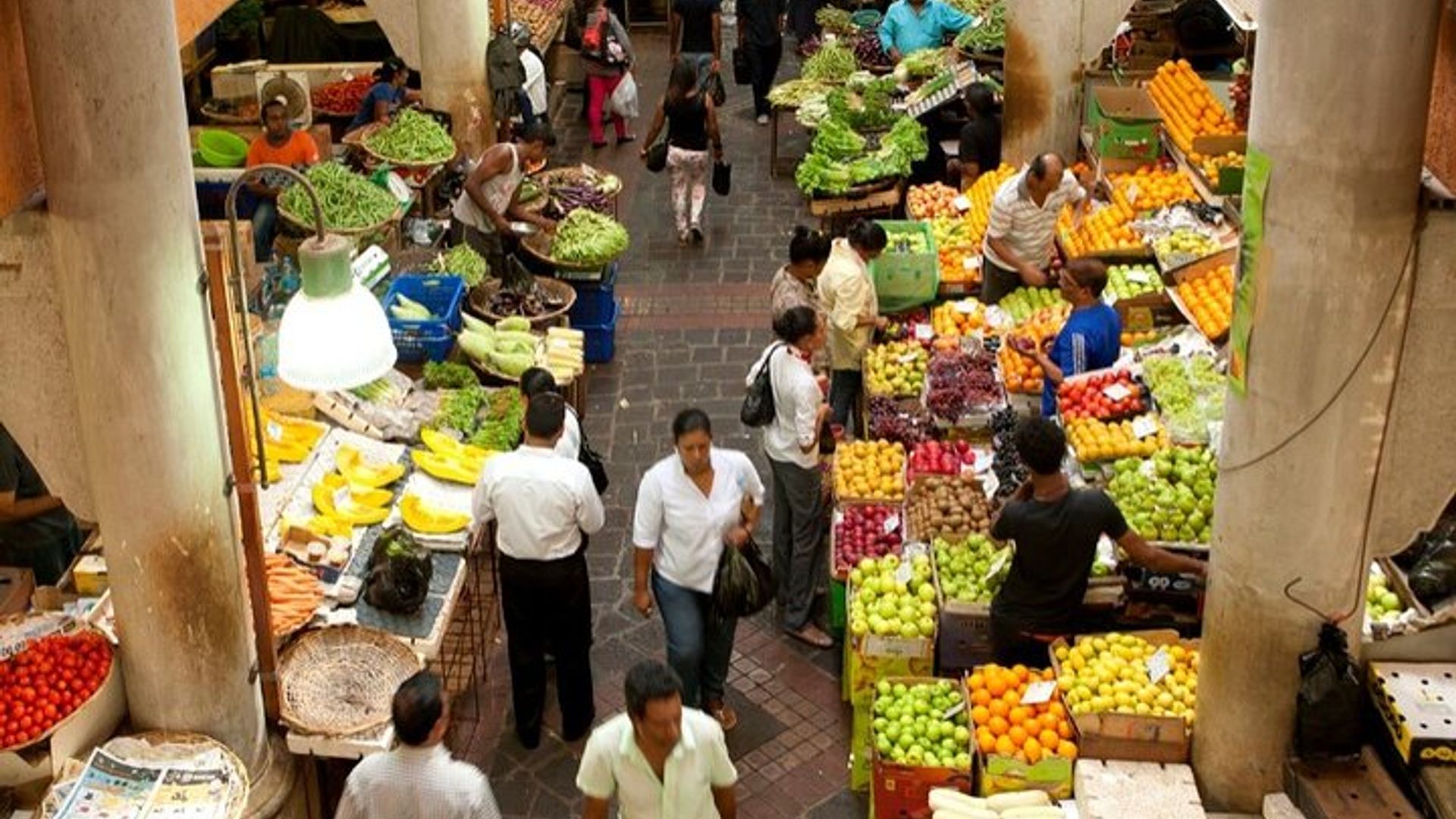 Mauritius Half Day City Tour(All Region)