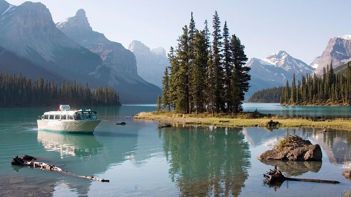 5.5-Hour Jasper Wildlife and Waterfalls Tour from Jasper
