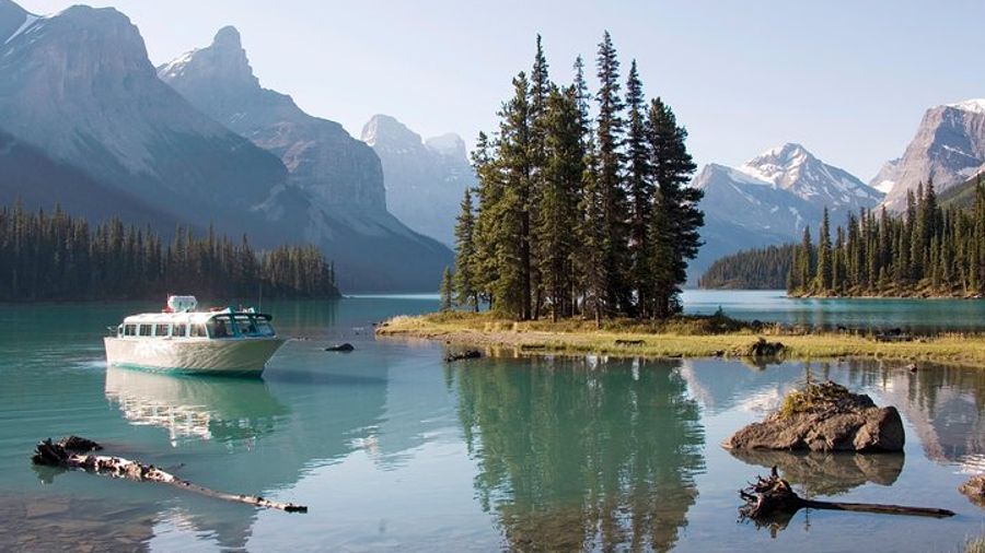 5.5-Hour Jasper Wildlife and Waterfalls Tour from Jasper