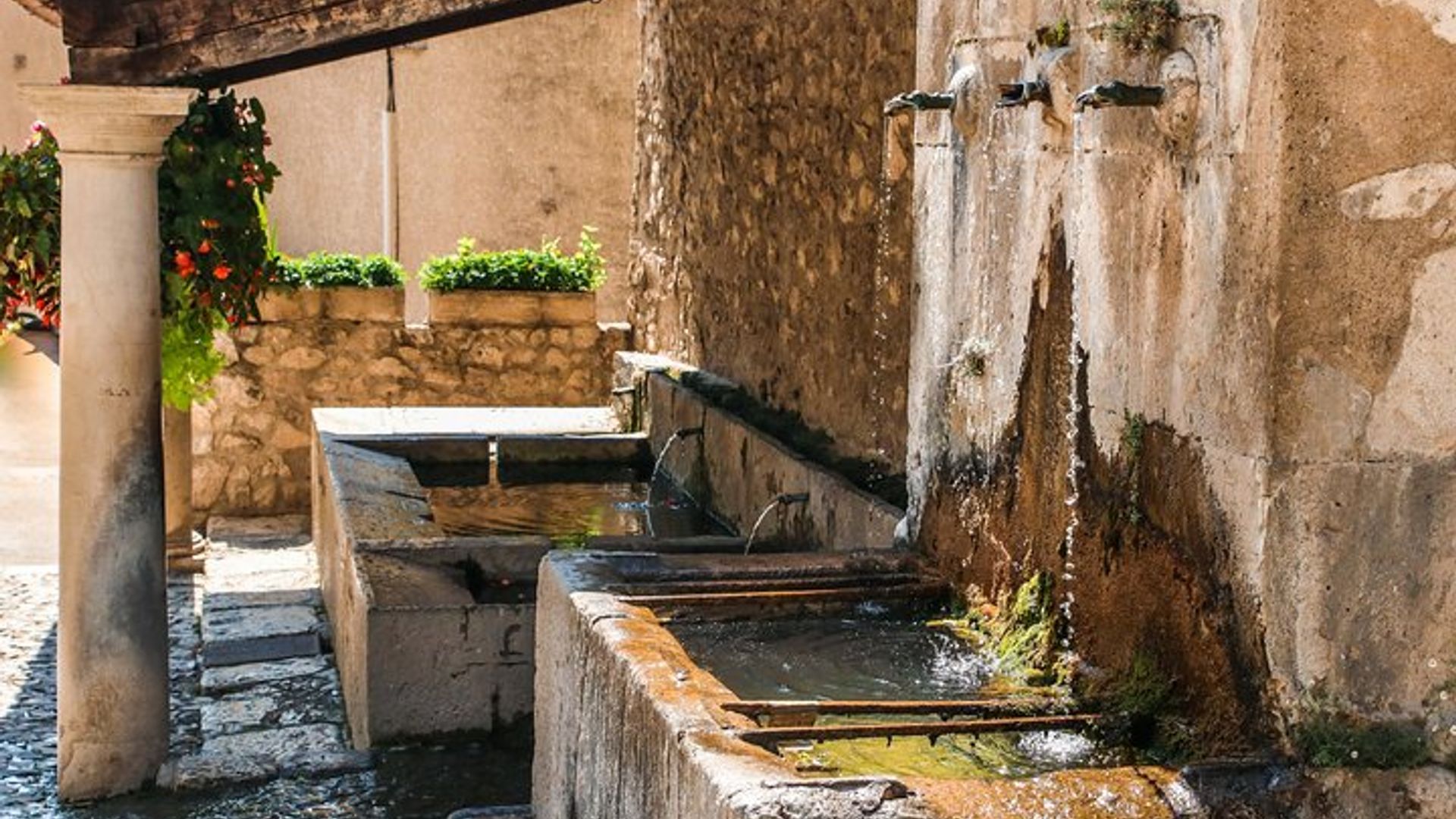 Excursion privée d'une journée aux champs de lavande de Provence