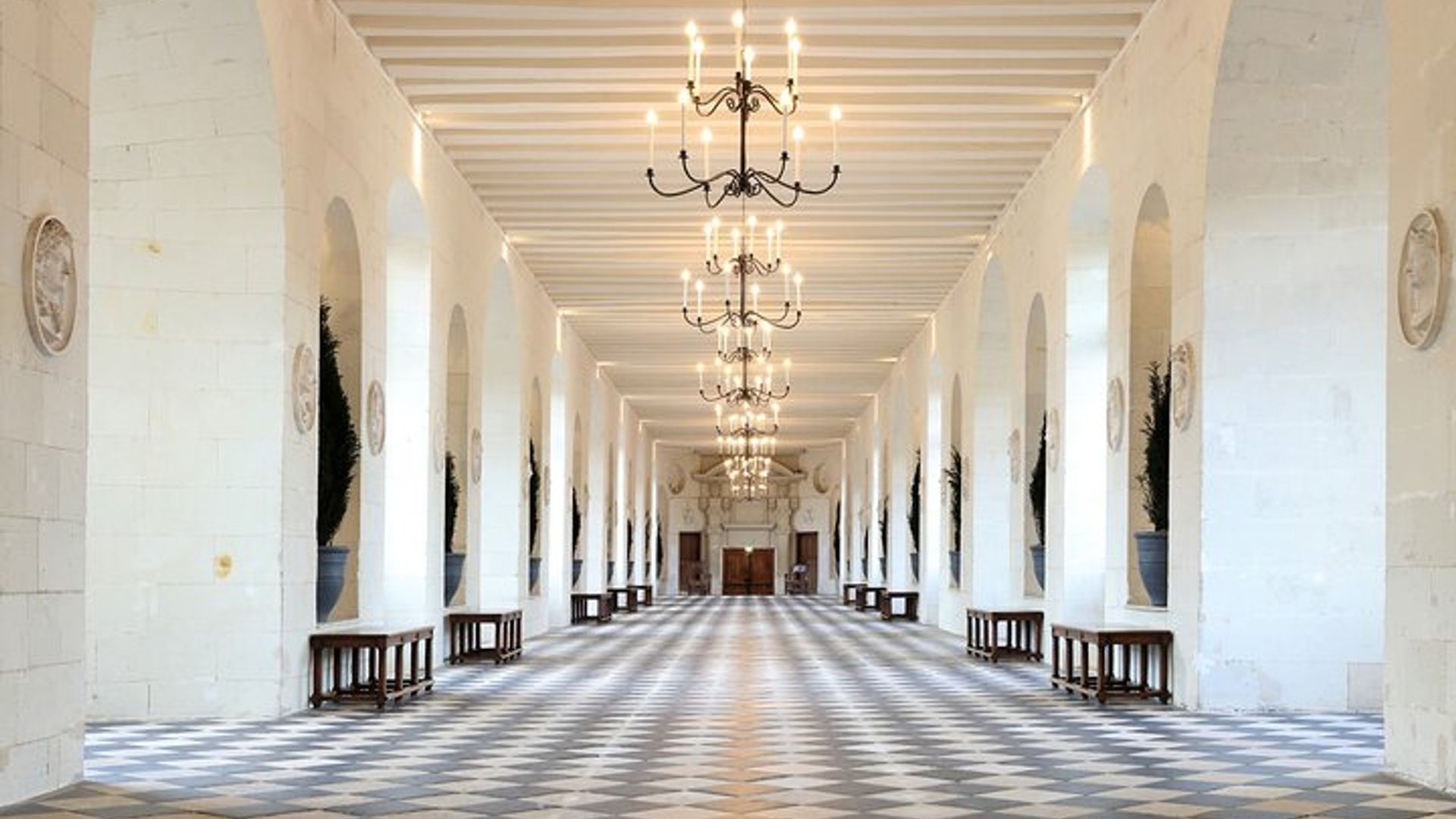Excursion privée d'une demi-journée au château de la vallée de la Loire à Chenonceau