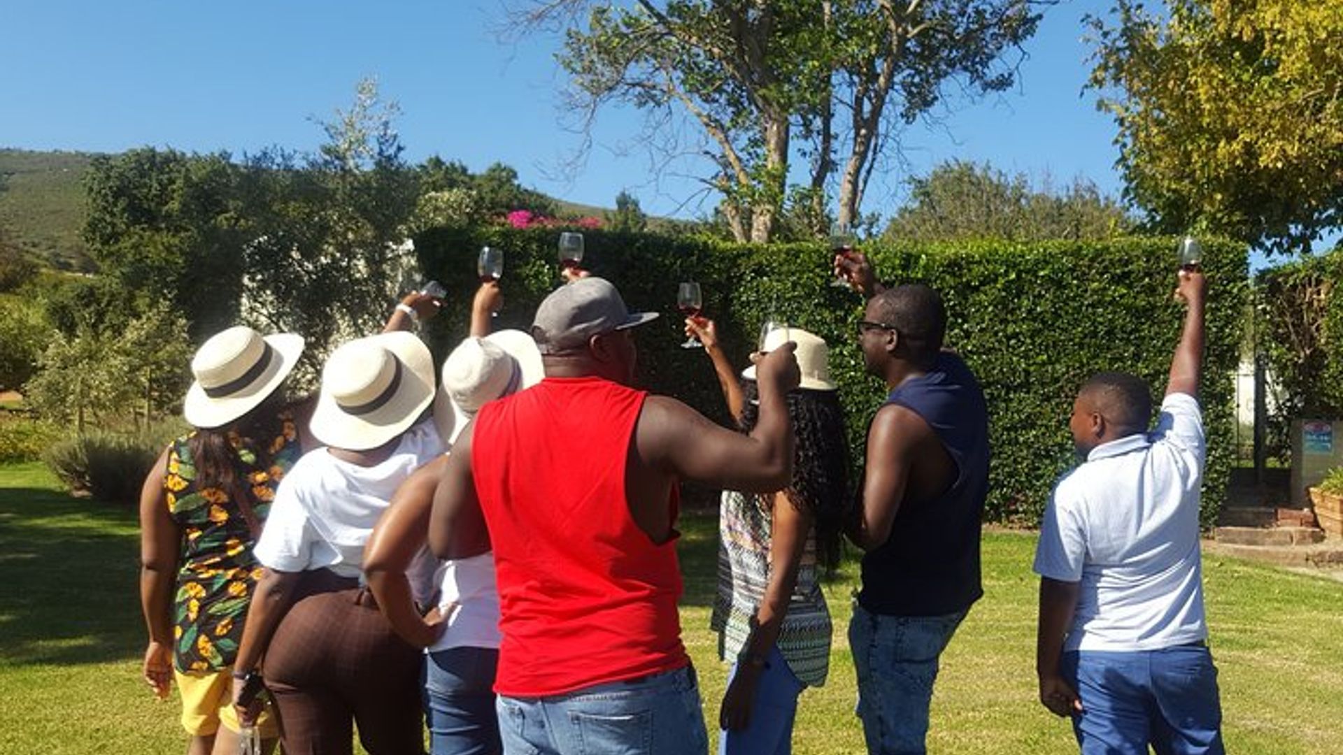 Visite privée des vignobles Franschoek Paarl de Stellenbosch au départ du Cap (journée complète)