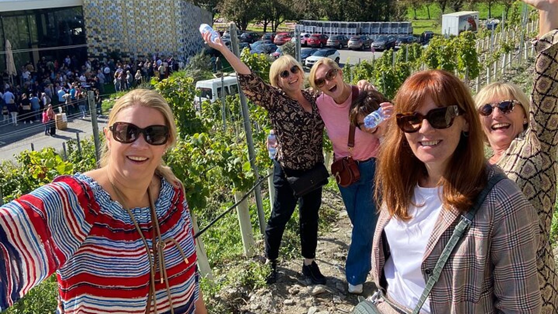 Wine and Dine Vineyard Walk in Sion
